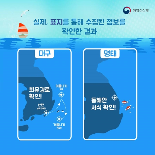 해시태그말고 물고기태그!