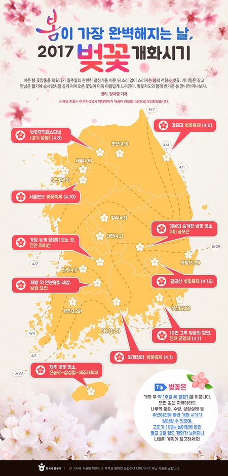 올해 벚꽃 개화 시기.(출처=대한민국 구석구석)