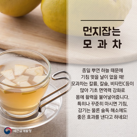미세먼지 잡는 한방차