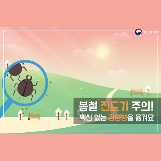 진드기가 옮기는 전염병, 올바른 예방법 알아보기
