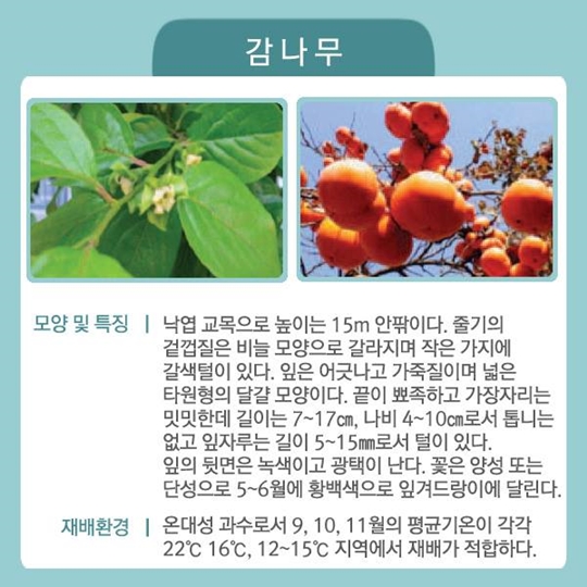 국민이 좋아하는 특용수·유실수 6가지