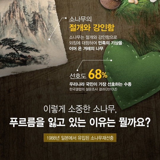 소나무 재선충병으로부터 안전하게 지켜주세요!