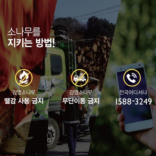 소나무 재선충병으로부터 안전하게 지켜주세요!