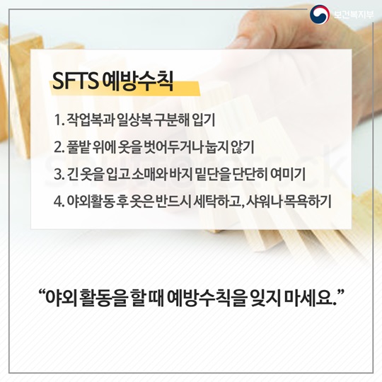 진드기가 옮기는 전염병, 올바른 예방법 알아보기