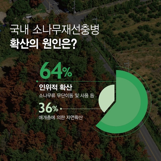 소나무 재선충병으로부터 안전하게 지켜주세요!
