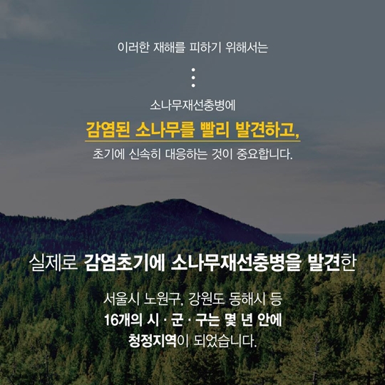 소나무 재선충병으로부터 안전하게 지켜주세요!