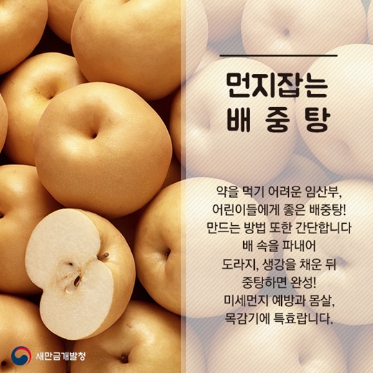 미세먼지 잡는 한방차