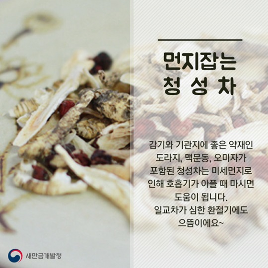 미세먼지 잡는 한방차