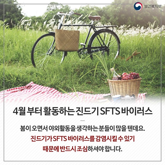 진드기가 옮기는 전염병, 올바른 예방법 알아보기
