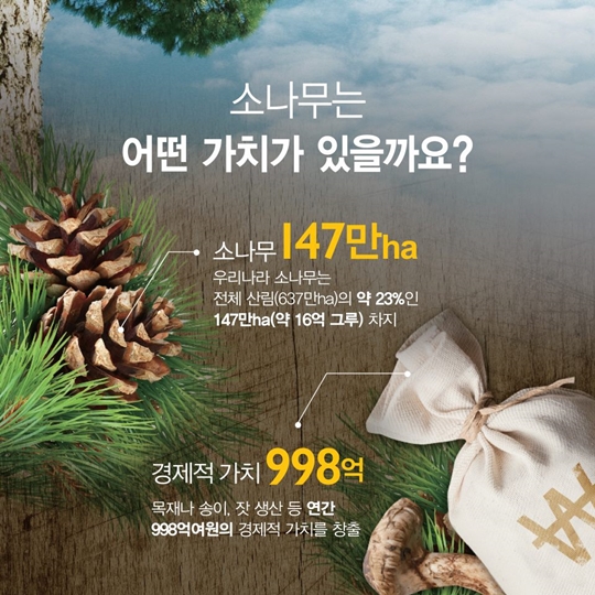 소나무 재선충병으로부터 안전하게 지켜주세요!
