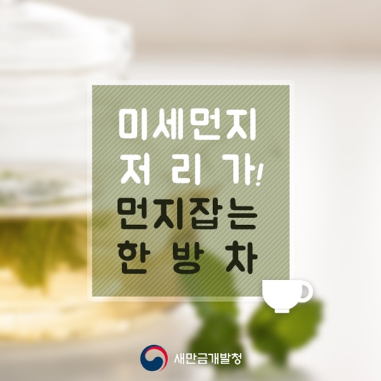 미세먼지 잡는 한방차