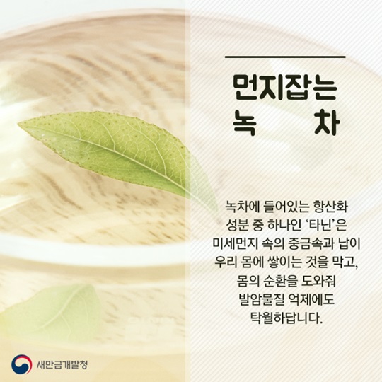 미세먼지 잡는 한방차