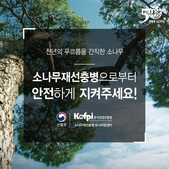 소나무 재선충병으로부터 안전하게 지켜주세요!