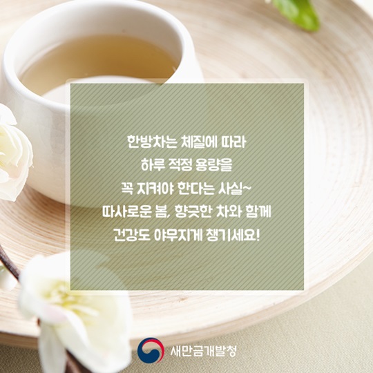미세먼지 잡는 한방차