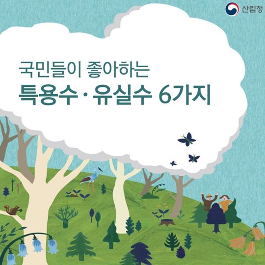 국민이 좋아하는 특용수·유실수 6가지