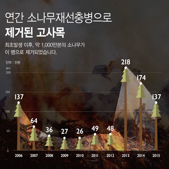 소나무 재선충병으로부터 안전하게 지켜주세요!