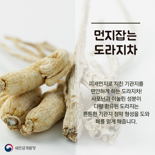 미세먼지 잡는 한방차