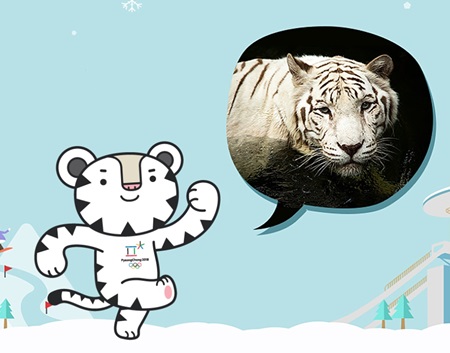 평창동계올림픽 마스코트 ‘수호랑’.(출처=평창동계올림픽 공식 웹사이트)