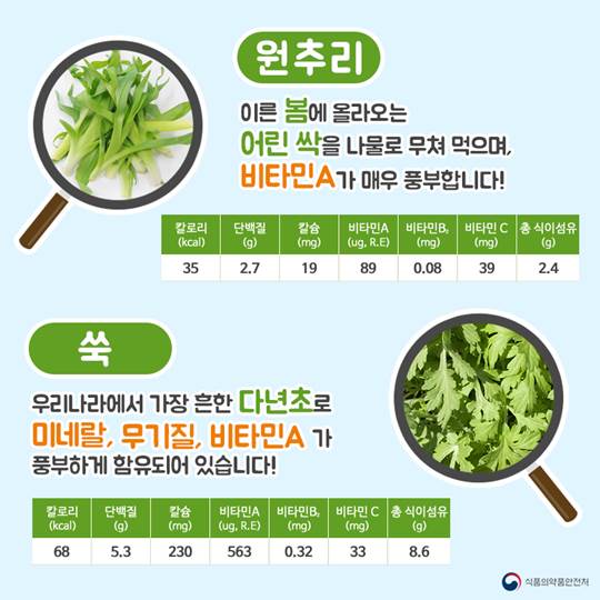 입맛 살려주는 봄나물