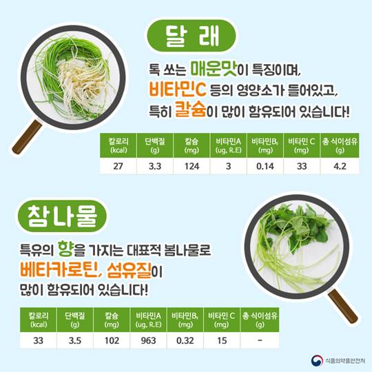 입맛 살려주는 봄나물