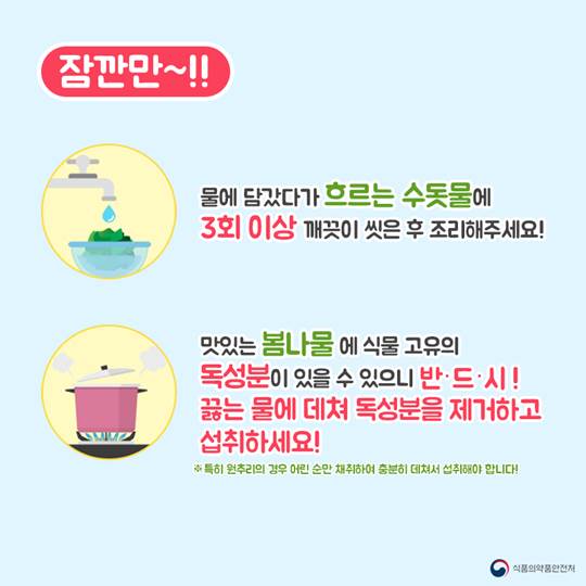 입맛 살려주는 봄나물