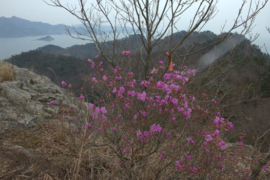 섬에 봄이 찾아오면 봄꽃도 보고 싶고, 바다도 보고 싶고, 산길도 오르고 싶은 등산객이 배에 오른다.