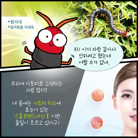 신약개발의 보물창고 곤충