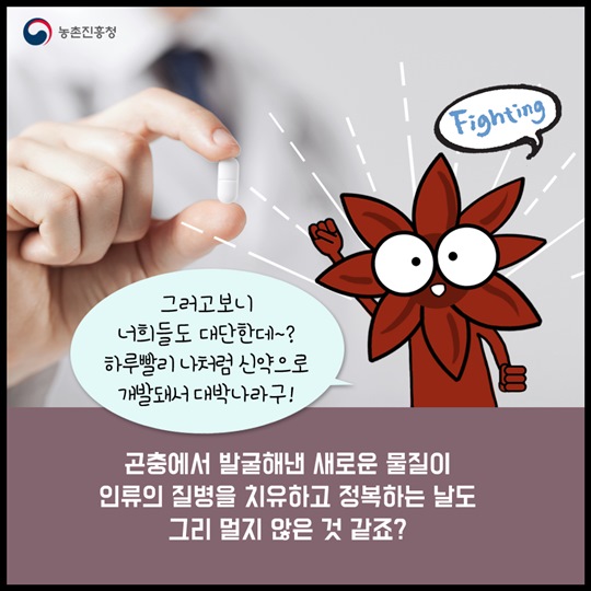 곤충