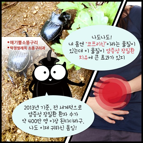 신약개발의 보물창고 곤충
