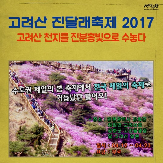 봄꽃 축제들아 기다려라 우리가 간다