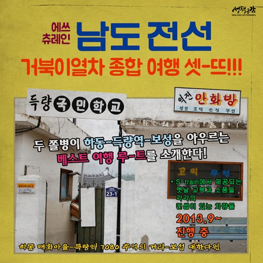 봄꽃 축제들아 기다려라 우리가 간다