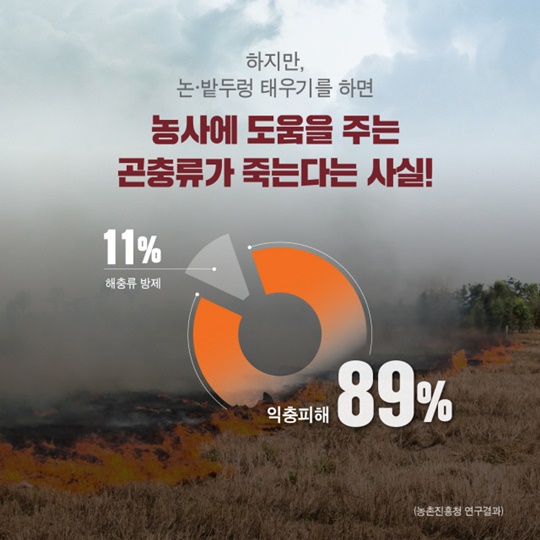 진짜 무서운 소각 산불은 봄에