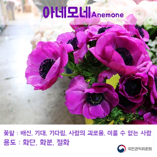 꽃이 전해주는 마음속 이야기