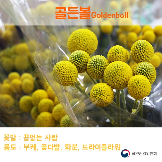 꽃이 전해주는 마음속 이야기