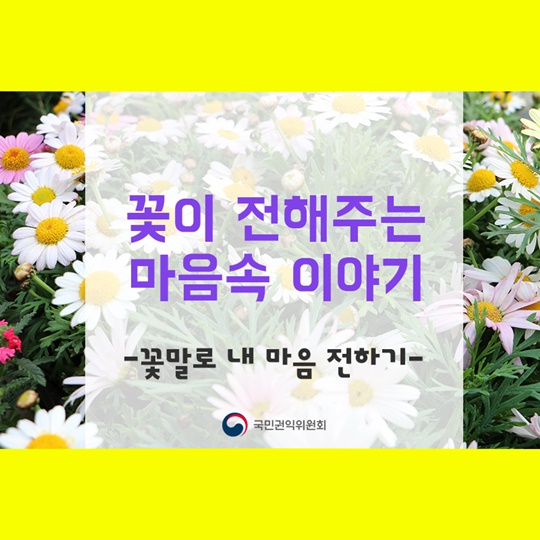 꽃이 전해주는 마음속 이야기