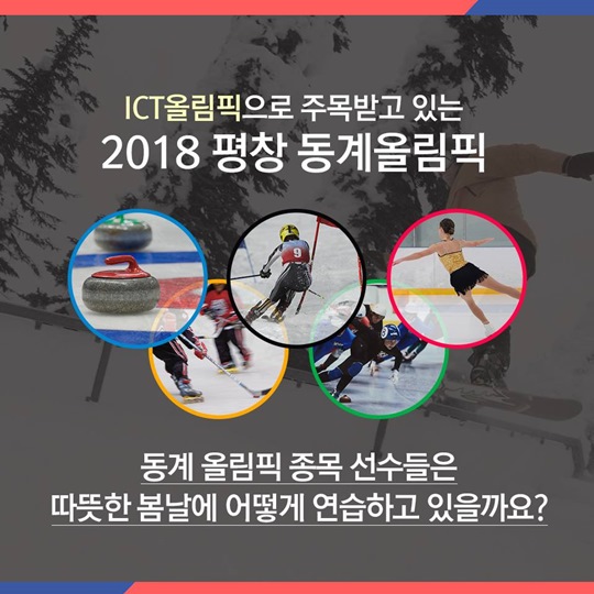 동계 올림픽 종목 선수들