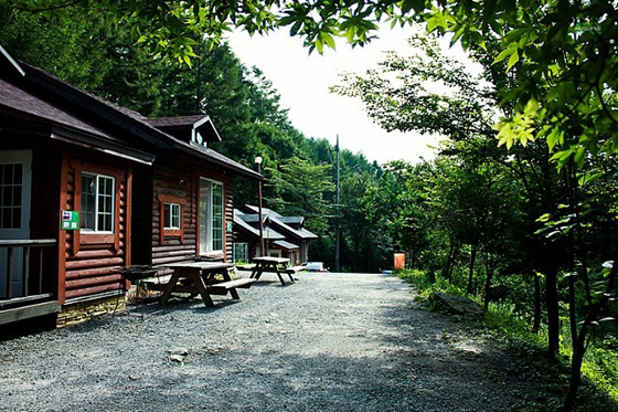 산림청은 개청 50주년을 맞아 50회에 걸쳐 ‘숲속 음악회’를 개회한다. 자세한 일정은 홈페이지(www.forest50.com)에서 확인 가능하다. 