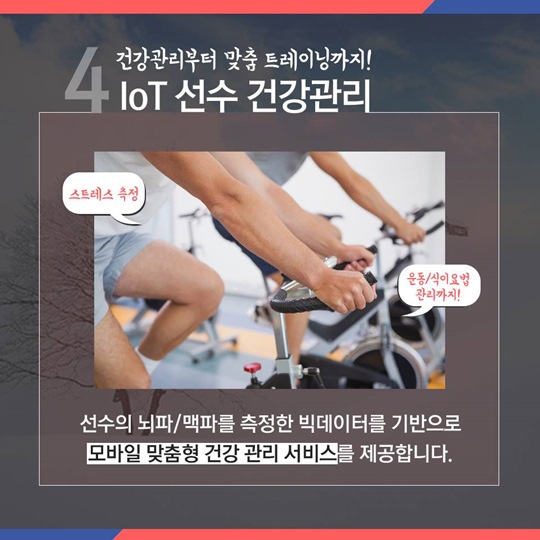 동계 올림픽 종목 선수들