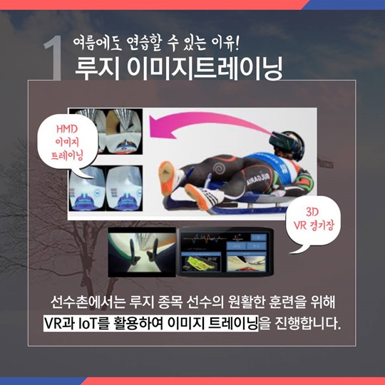 동계 올림픽 종목 선수들