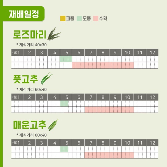 텃밭에 기능을 더하다, 맛있는 텃밭
