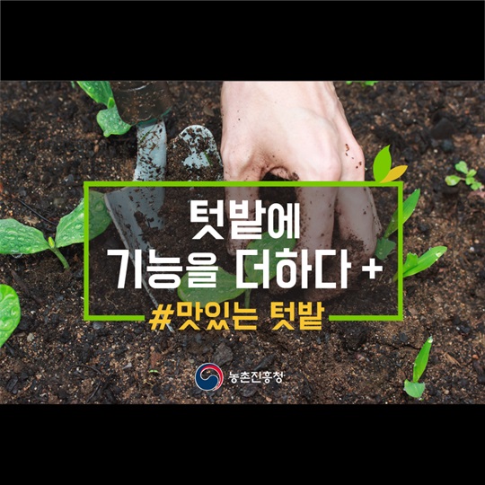 텃밭에 기능을 더하다, 맛있는 텃밭