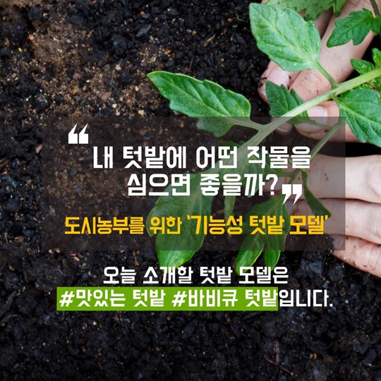 텃밭에 기능을 더하다, 맛있는 텃밭
