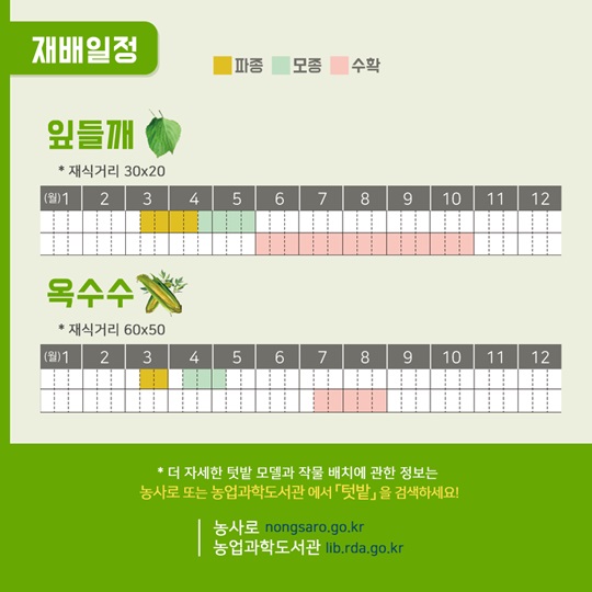 텃밭에 기능을 더하다, 맛있는 텃밭
