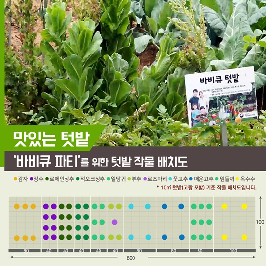 텃밭에 기능을 더하다, 맛있는 텃밭