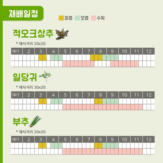 텃밭에 기능을 더하다, 맛있는 텃밭