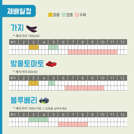 텃밭에 기능을 더하다, 건강기능성 텃밭