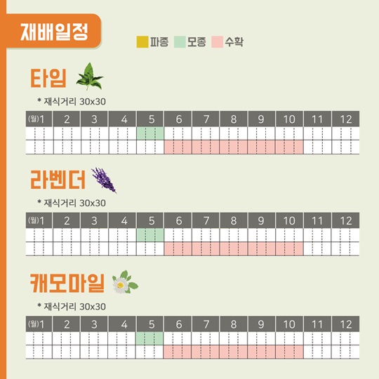 텃밭에 기능을 더하다, 보고 즐기는 텃밭