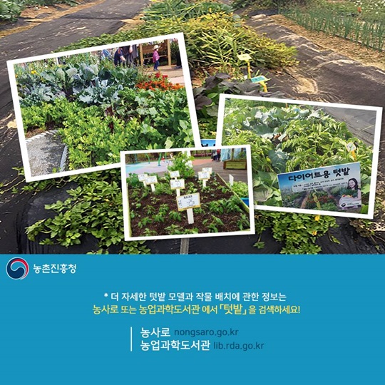 텃밭에 기능을 더하다, 건강기능성 텃밭