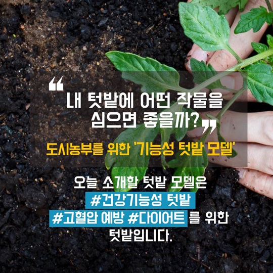 텃밭에 기능을 더하다, 건강기능성 텃밭