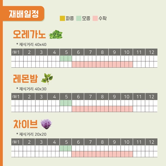 텃밭에 기능을 더하다, 보고 즐기는 텃밭